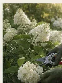 Садовник — подбор в агентстве Дом Персонала, от 6 000 ₽/выход